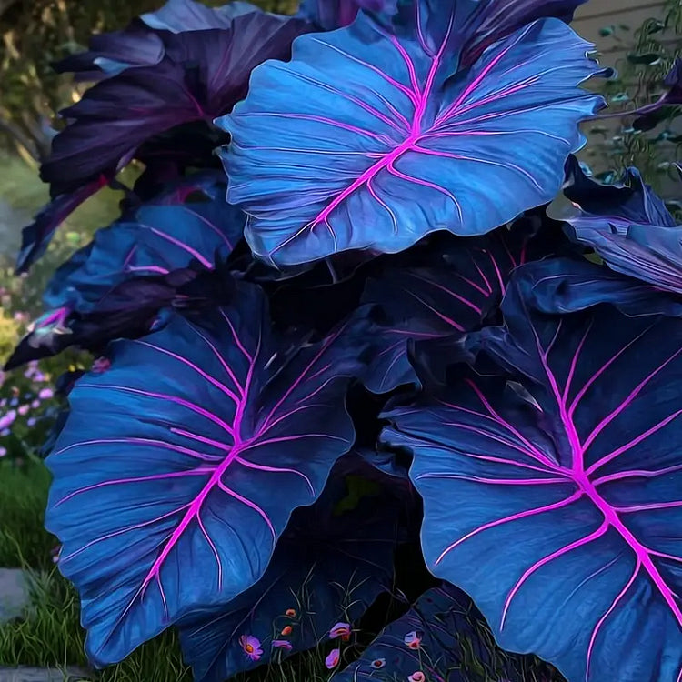 🌿 Rare Hosta Flower Seeds + 100 grams Organic Pot mix Free🌱