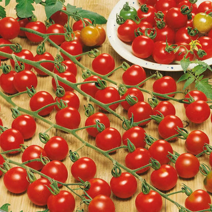 Waterfalls Cherry Tomato Seeds