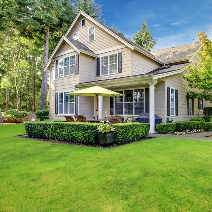 All Seasons Evergreen Grass Seeds