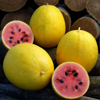Golden Red Watermelon Seed
