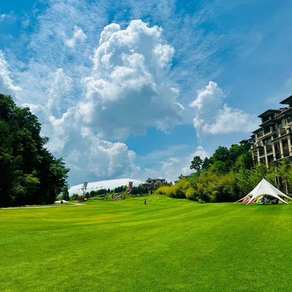 All Seasons Evergreen Grass Seeds