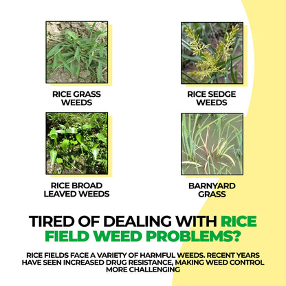 Glufosinate Herbicide (Buy 1 Get 3 Free)