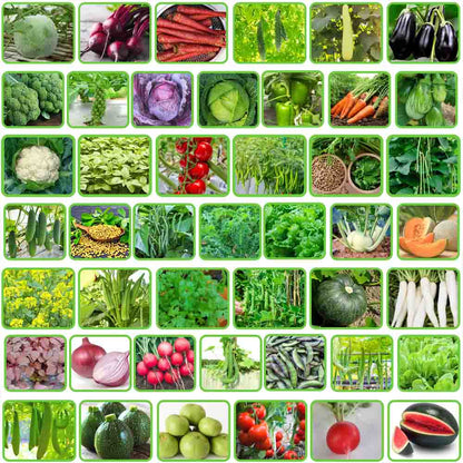 Organic Vegetable Seeds Mix (500+Seeds With Grow Bag🪴)