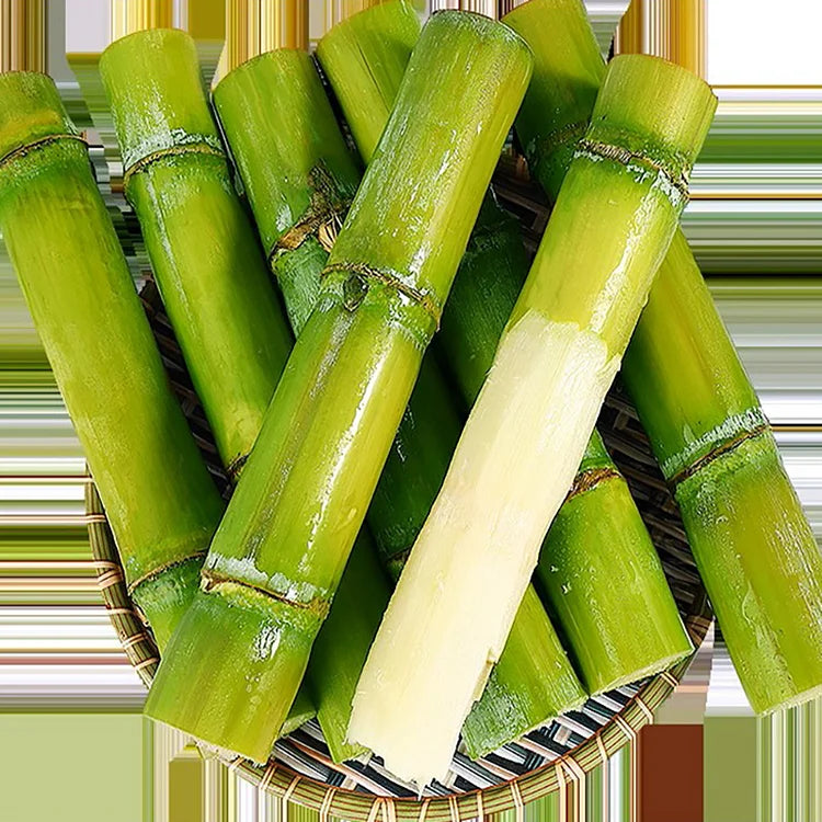 Green-Skinned Mini Sugarcane Seeds