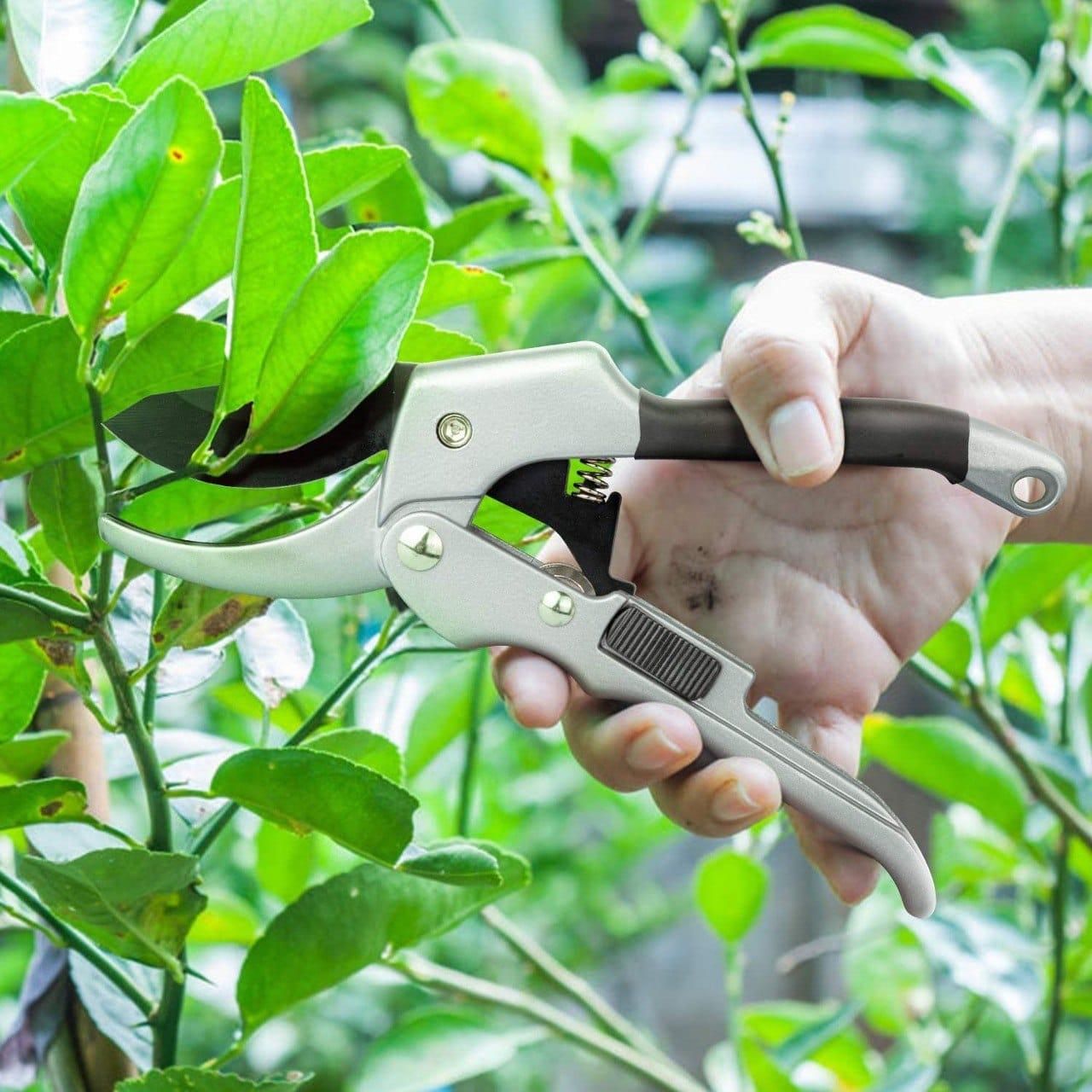 Premium Ratchet Pruning Cutter