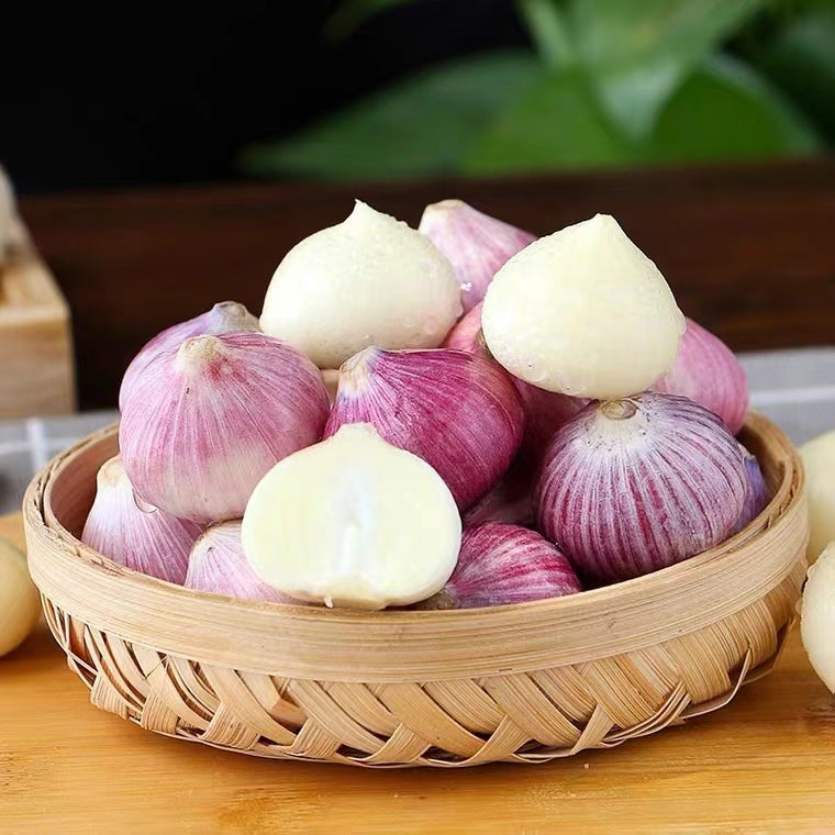 Single Clove Garlic Seeds🧄 + Free Plant Growth Serum🌱