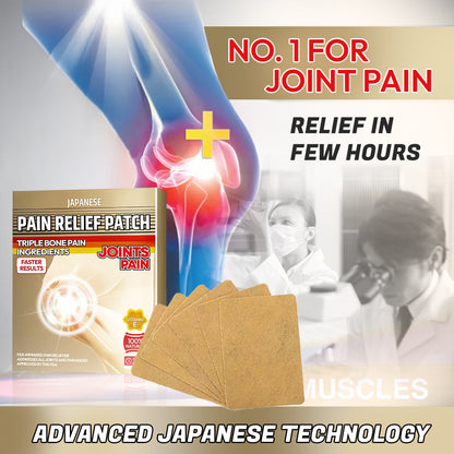 Japanese Pain Relief Patch (Pack of 10)