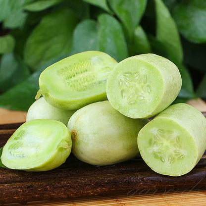 Golden Boy Lady Cucumber🥒