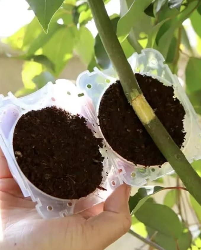 Reusable Plant Propagation Balls (Pack of 5)