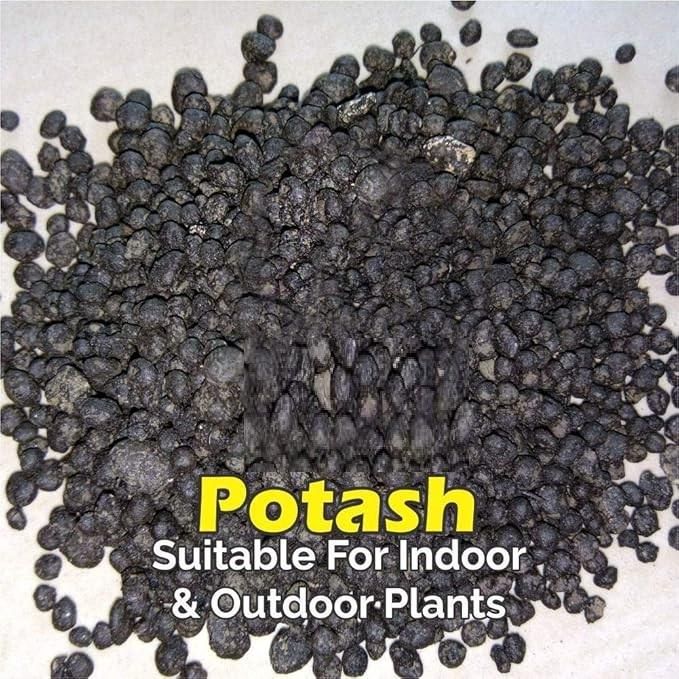Organic Bio Potash Fertilizer🌱