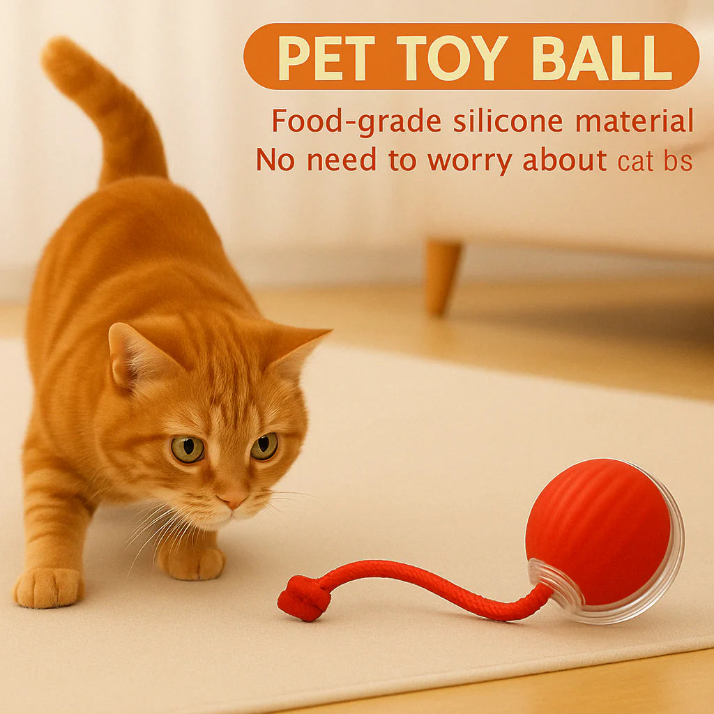 Smart Rolling Pet Ball