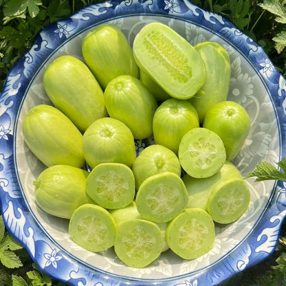 Golden Boy Lady Cucumber🥒