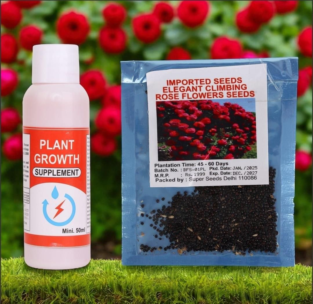 Climbing Rose Flower Seeds + FREE Plant Growth Supplement