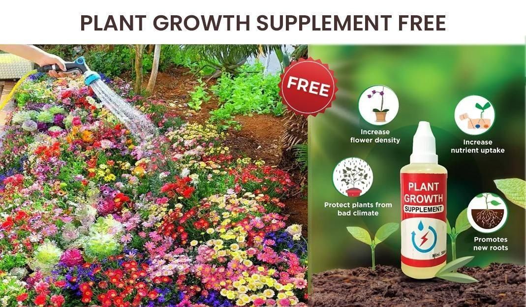 Italian Premium Flower Seeds + FREE Plant Growth Supplement