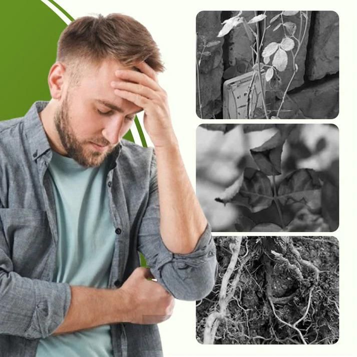 Soluble Disease Control Fertilizer (Buy 1 Get 1 Free)