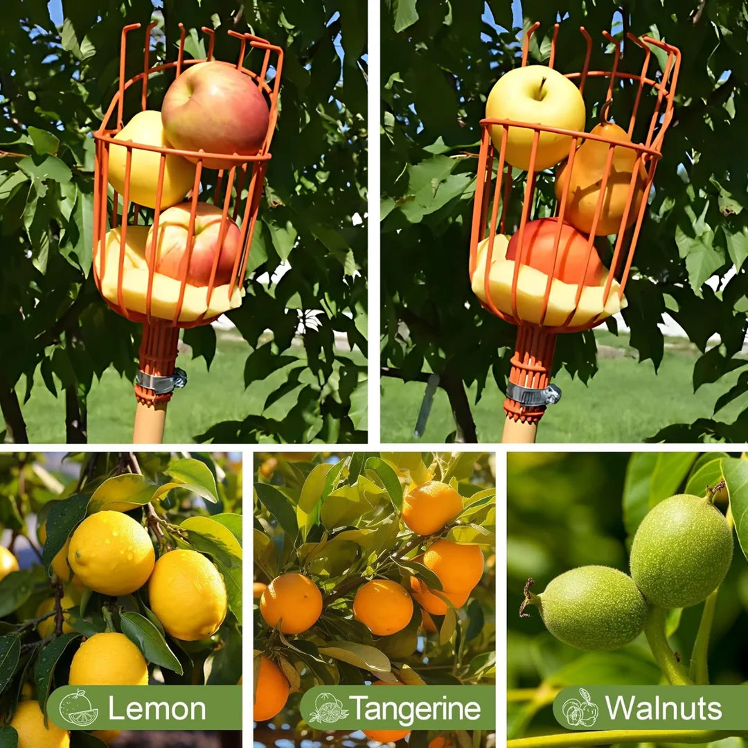 Fruit Picker with Basket