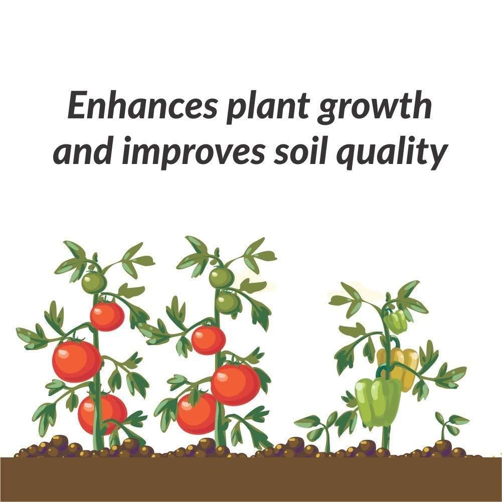 Organic Bio Potash Fertilizer🌱