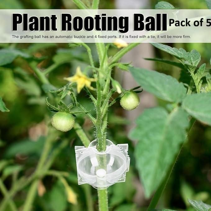 Reusable Plant Propagation Balls (Pack of 5)