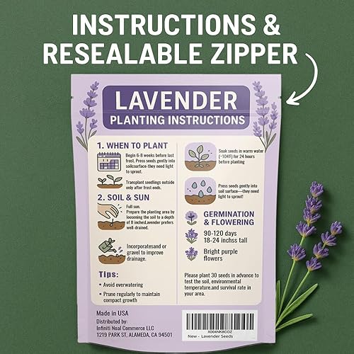 Imported English Lavender Seeds🪻