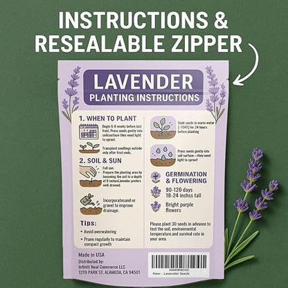 Imported English Lavender Seeds🪻