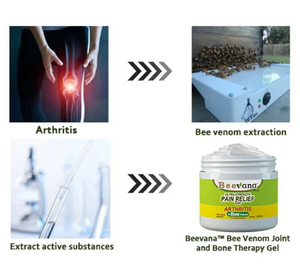 Bee Venom Joint and Bone Therapy Cream🐝 (Buy 1 Get 2 Free)
