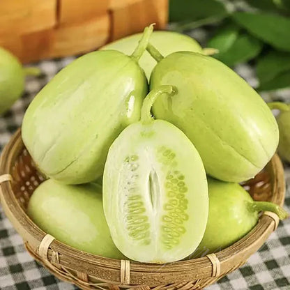 Golden Boy Lady Cucumber🥒