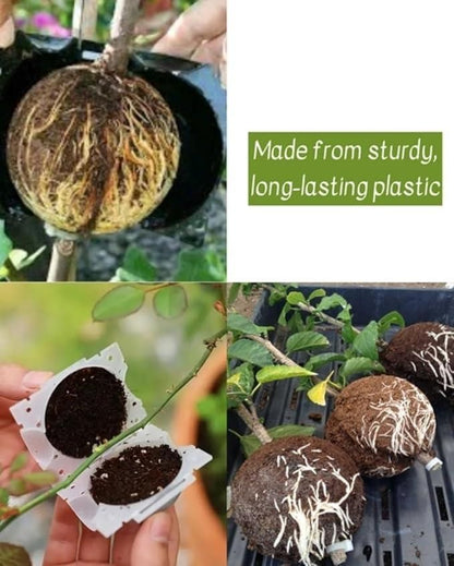 Reusable Plant Propagation Balls (Pack of 5)
