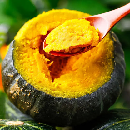 Organic Beibei pumpkin seeds🥝