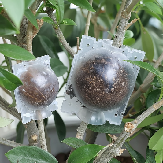 Reusable Plant Propagation Balls (Pack of 5)