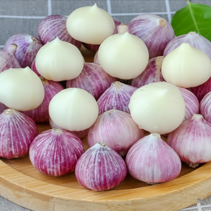 Single Clove Garlic Seeds🧄 + Free Plant Growth Serum🌱