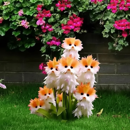 ✨ Cat Eye Dazzle Seeds 🌱 + Free 100g Organic Pot Mix ✨