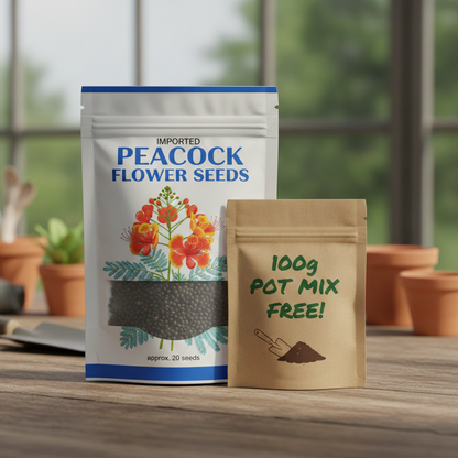 Imported Peacock Flower Seeds🌺🌿 + 100g Pot Mix Free