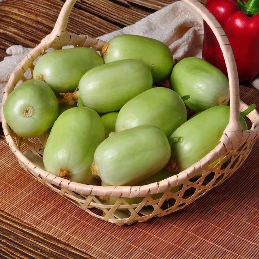 Golden Boy Lady Cucumber🥒