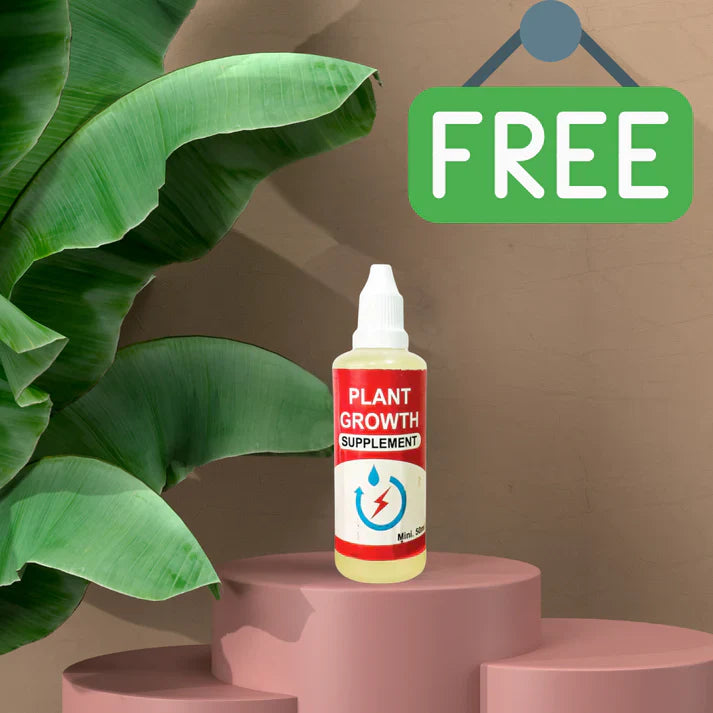 Italian Premium Flower Seeds + FREE Plant Growth Supplement