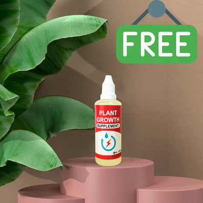 Italian Premium Flower Seeds + FREE Plant Growth Supplement