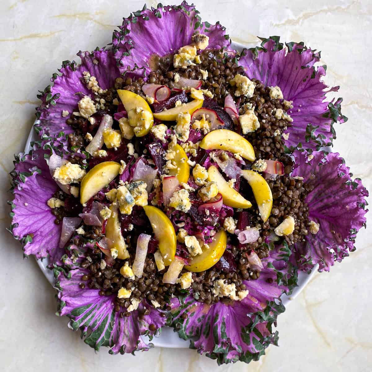 🥗Rare Purple Edible Kale Seeds