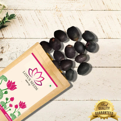 Japanese Lotus Flower Seeds (Grows within 21 Days)