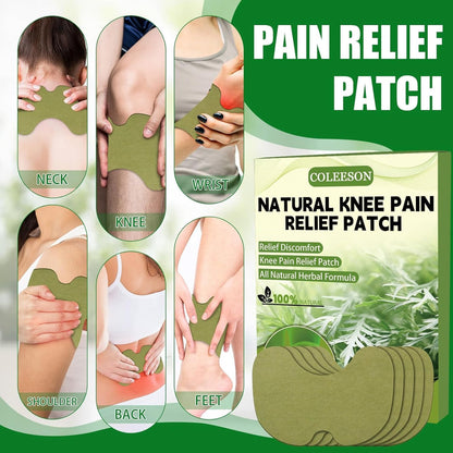 Ayurvedic Herbal Knee Pain Relief Patch(Pack of 10)