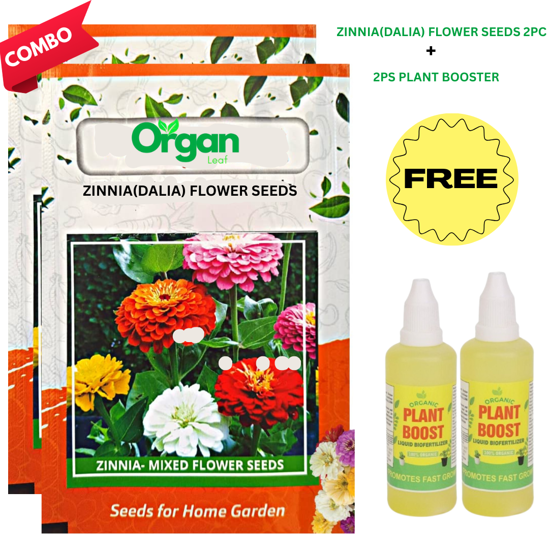 🌸Zinnia(Dahlia) Flowers Seeds + Free Plant Growth Supplement🌱 (BUY 1 GET 1 FREE)
