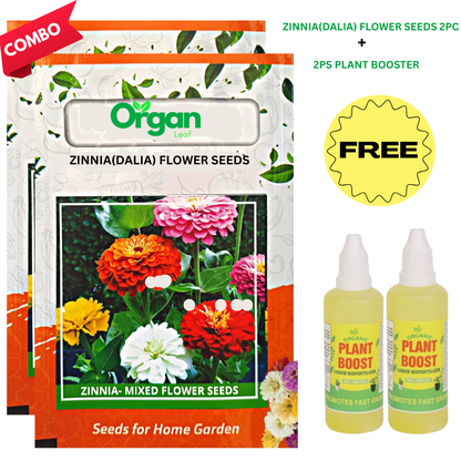 🌸Zinnia(Dahlia) Flowers Seeds + Free Plant Growth Supplement🌱 (BUY 1 GET 1 FREE)