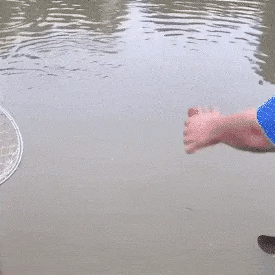 Fishing Attractant ( Buy 1 Get 1 Free)