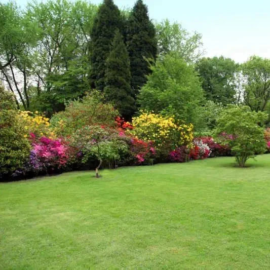 All Seasons Evergreen Grass Seeds