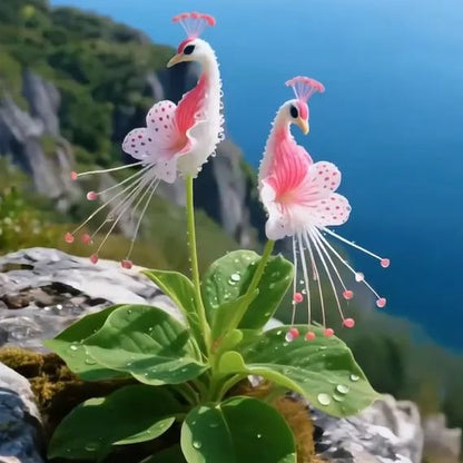 Imported Peacock Flower Seeds🌺🌿 + 100g Pot Mix Free(Pack of 2)